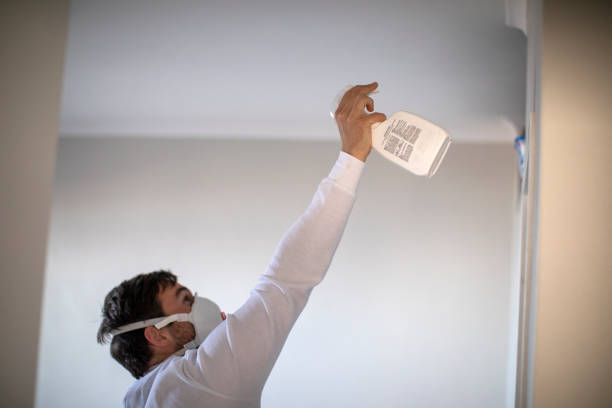 Best Home Mold Removal  in Millington, NJ