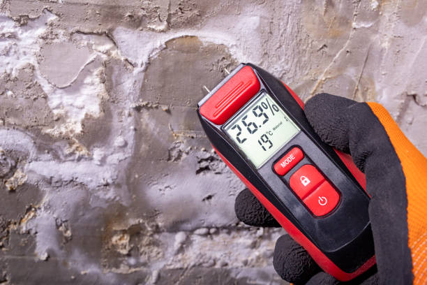 Best Local Mold Removal Service  in Millington, NJ